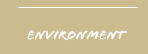 environment