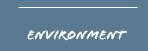 environment
