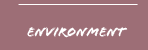envirnment
