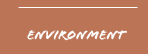environment
