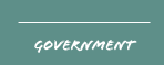 government